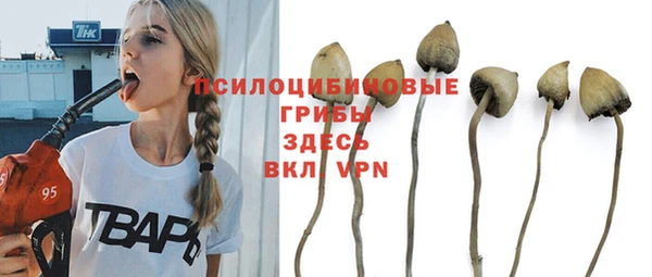 дурь Баксан